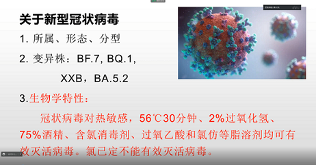 image33333333333333333.jpg image33333333333333333.jpg